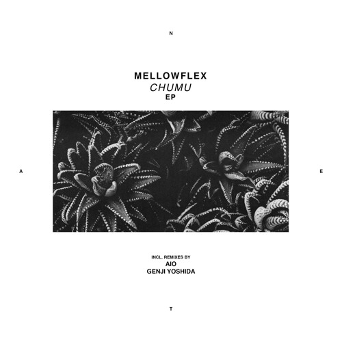 Premiere: Mellowflex - Stony Plain (Aio Remix) [NachtEin.TagAus]