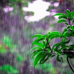 Rain In Bastrop