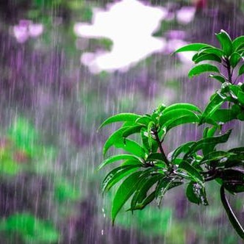Rain In Bastrop