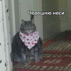 "Как оно, капучино?"  - Про отношения