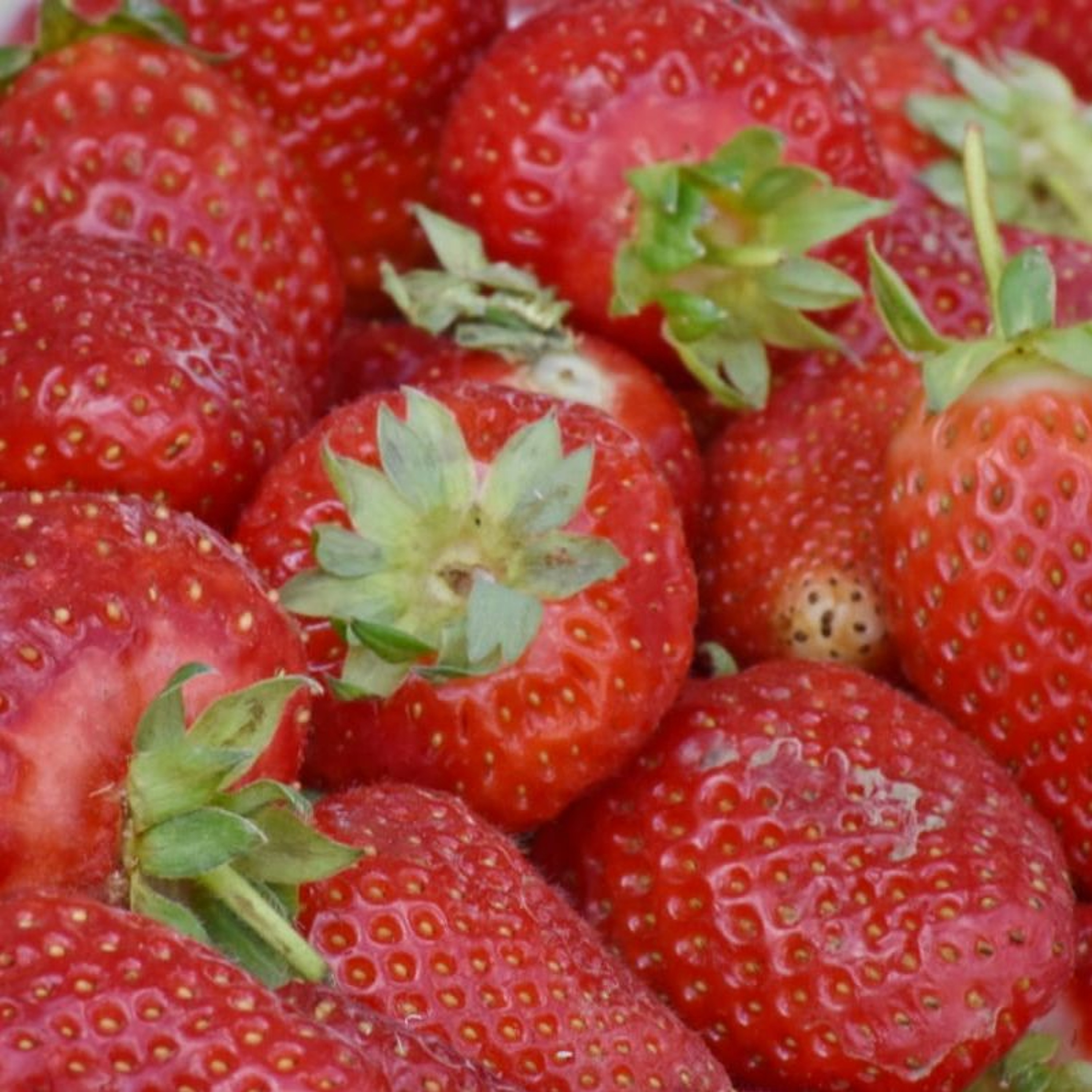 LW #51: Super Strawberries and News from October 17th - 23rd, 2019 episode artwork