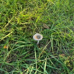 Drowning In The Shower