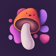 Paul Shroom