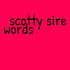 SCOTTY SIRE - WORDS