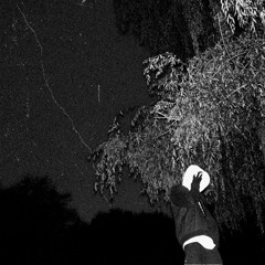 Defective (Prod. endangeredbody)