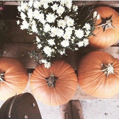 We Fell In Love In October (acoustic)