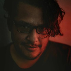 SXDNS144 // Black Flamingo Disco Driver