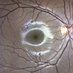 Smoking Like Me - Lil Bricc [prod. Blanqbeats]