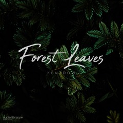 Forest Leaves - KENTDOW | Free Background Music | Audio Library Release