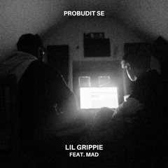 Probudit Se (feat. MAD)