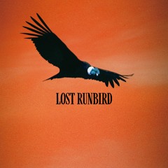 [FREE] Tokyo Foot Shit - ALchinBond and DJ SEKIS (ex RUNBIRD1)