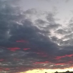 Wisely To Live Ahmatova 1912