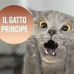 il gatto stappo ( Drum Essenz Compilation )