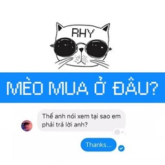 Mèo Mua Ở Đâu