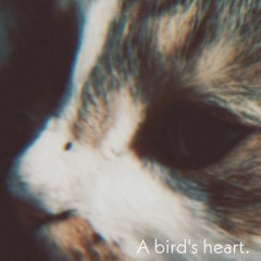 A bird's heart.