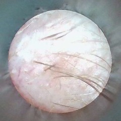 Muddy Water ( A Cover by cobraznominasan/Taypen)