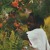 Artwork for Lord Apex - Spliff in the Morning (INSTRUMENTAL)
