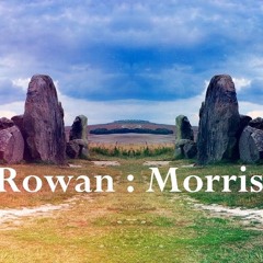 The Meadow's Call (Original)