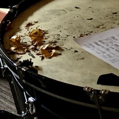 The Drum And The Sampler (Palme&Gingras 2019)