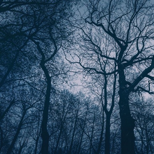 LOVATARAXX - Angst (Delarossa Extended Edit)