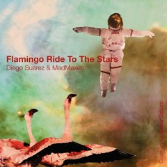 Diego Suarez & MadMaxim - Flamingo Ride To The Stars