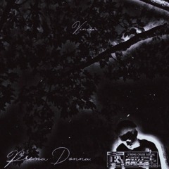 Prima Donna (prod. Slayer & Mingo)