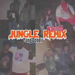 Jungle Remix (Ft. Waundo)