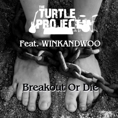 Breakout Or Die - The Turtle Project Ft. winkandwoo