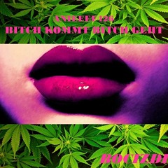 ANIEEEF - BITCH KOMMT, BITCH GEHT