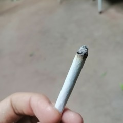هنعوم ولا هنجرى
