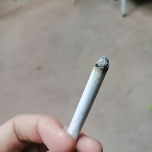 هنعوم ولا هنجرى