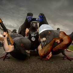 Saz - GOŁĄB (PARODIA - Żabson Ft. Young Multi - DADDYSHOES) (Official Audio)