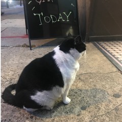 why you gotta kick me when im down (America Love Me Remix)