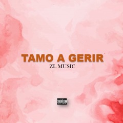 TAMO A GERIR