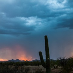 Bosa (Monsoon)