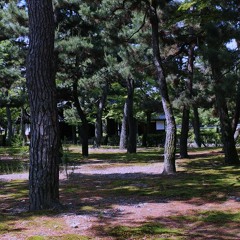 Cold Soles / Warm Souls (demo)