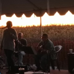 I Can't Tell You Why (Eagles Cover)