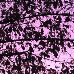 Something Between Okay And Alright