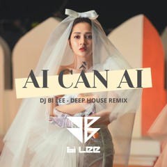 Bảo Anh - Ai Cần Ai ( DJ BiLee Remix )