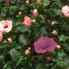 im gonna dry those sad eyes.