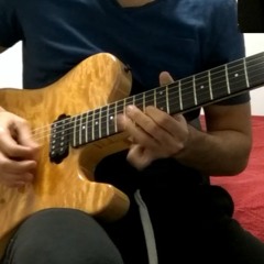Zakk Wylde - Farewell Ballad Solo Cover