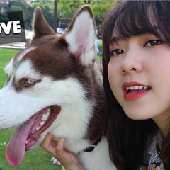SIMPLE LOVE - Obito x Seachains x Davis x Lena | NGÔ LAN HƯƠNG COVER