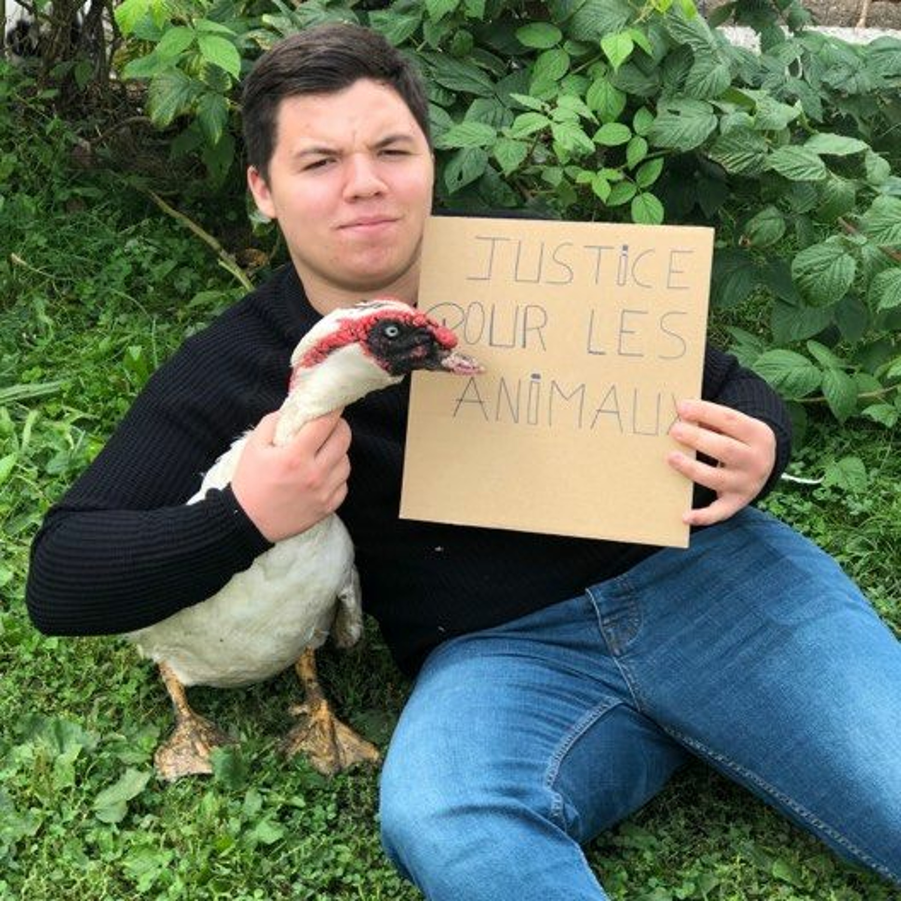 Les Interviews D\'Eric Cooper