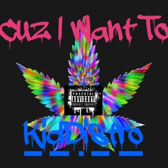 Cuz I Want To x KidDistro
