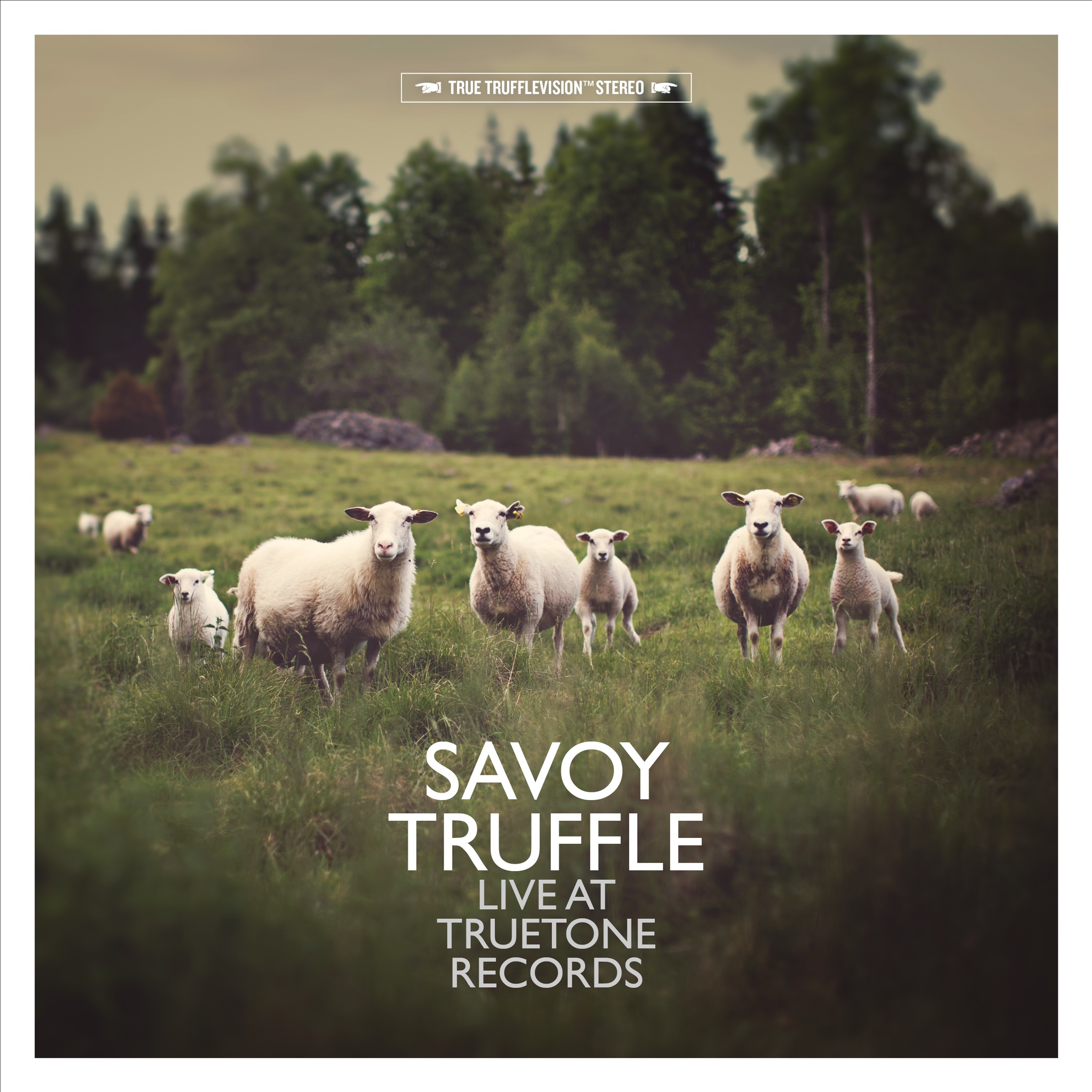 Savoy Truffle
