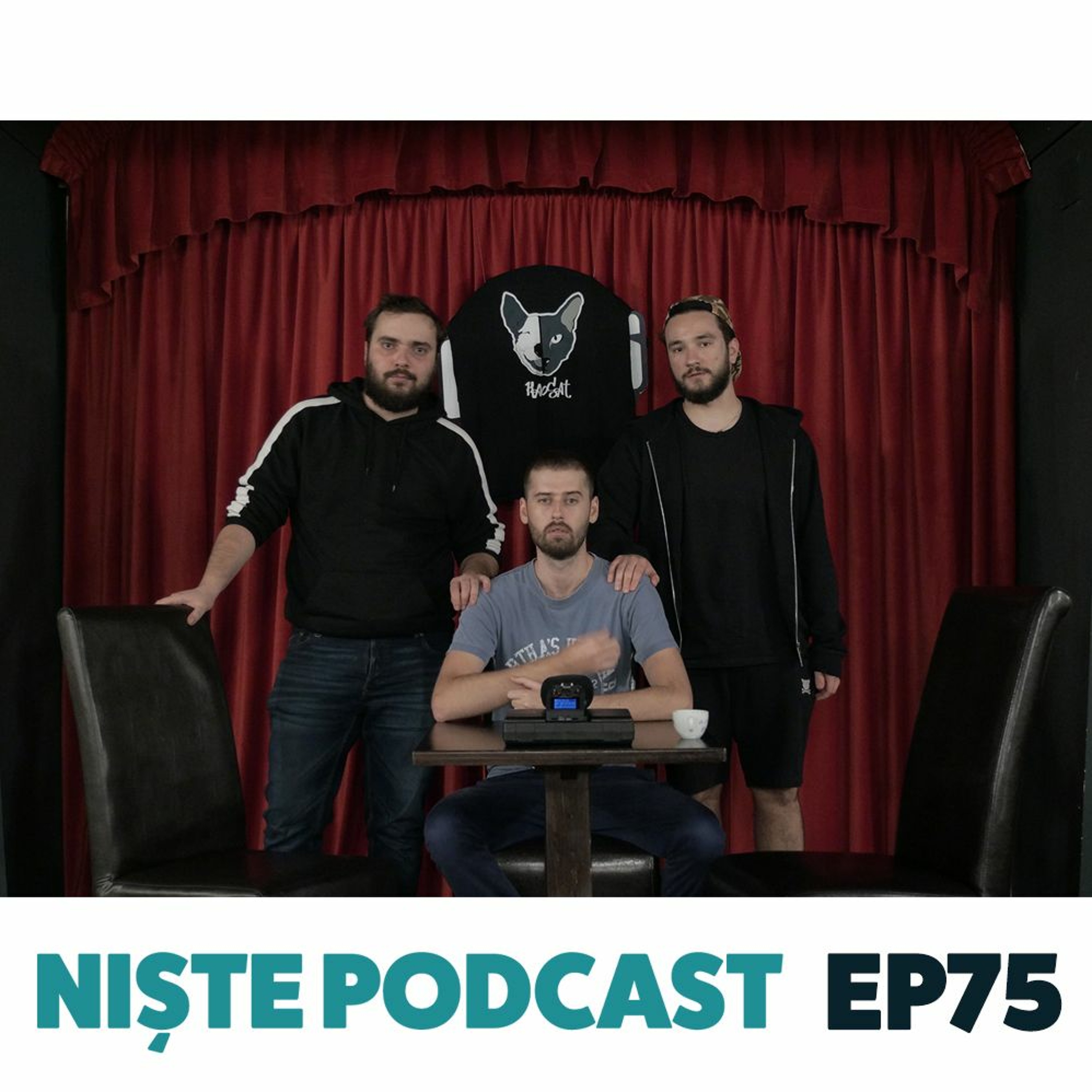 #75 NiștePodcast - Mitran ne spune poveștile șoferului lui Doru Octavian Dumitru episode artwork