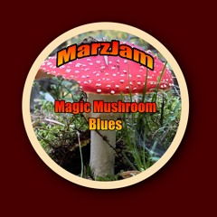 Magic Mushroom Fingerstyle Guitar Blues