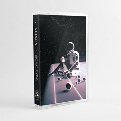 Signal Flow (cassette edition)