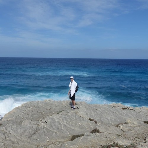 Ride the Wave