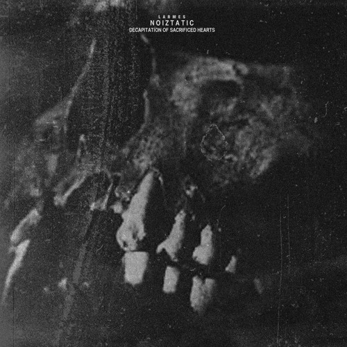 WL//WH Premiere : NOIZTATIC “Decapitate” [LARMES]